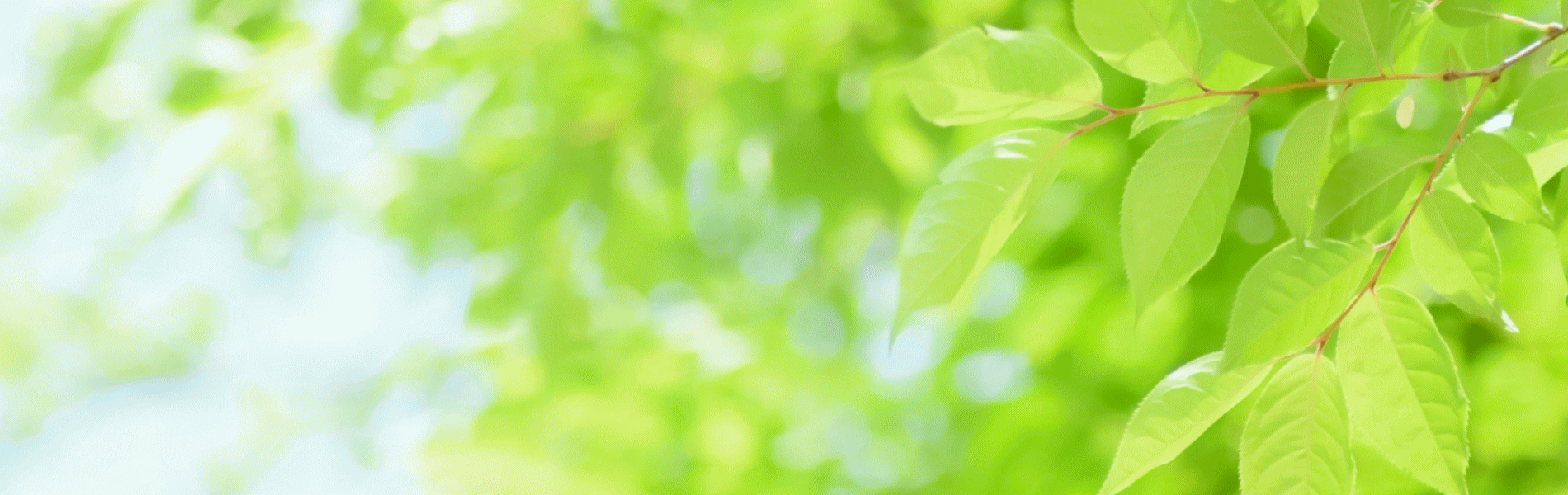 株式会社 エコラス関西総合研究所